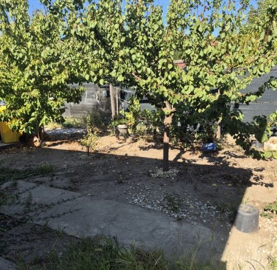 Casa individuala parter, Domnesti, zona Craitei-Foisorului. Investitie buna. - Poză 6