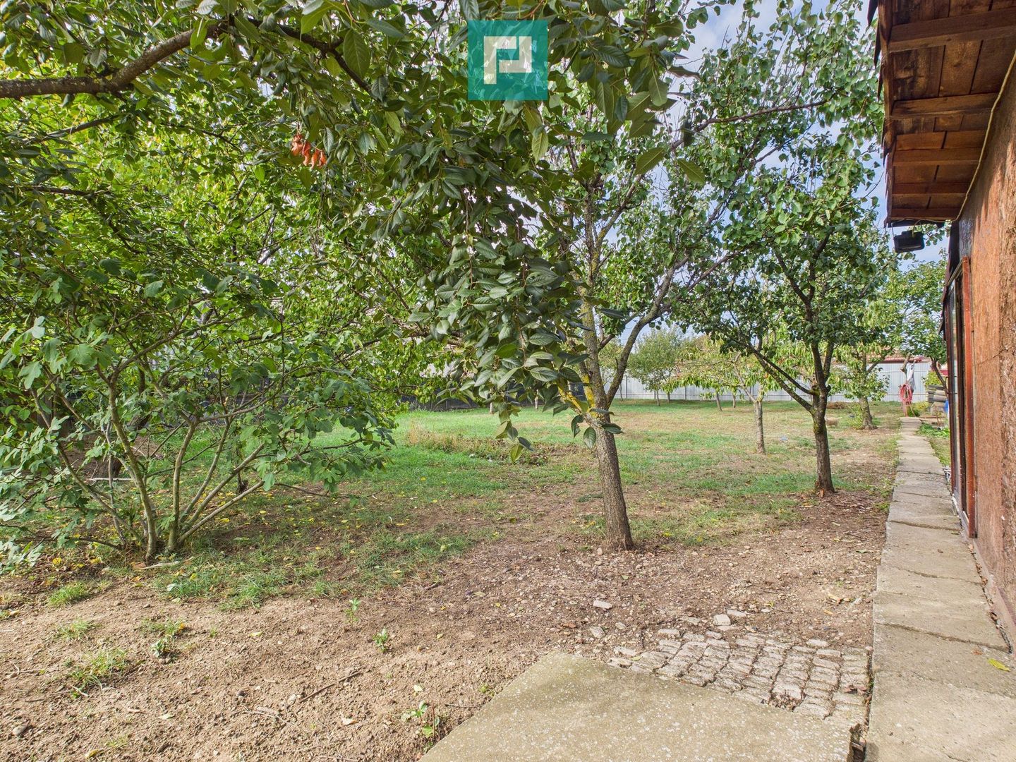 Teren pentru casă – Fântânele - Poză 4