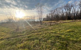 TEREN INTRAVILAN GENEROS | 72 ARI | GALANESTI - Poză 9