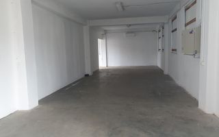 2 HALE de 357 mp si 474 mp  si teren intravilan de 5423 mp  Isalnita - Poză 10