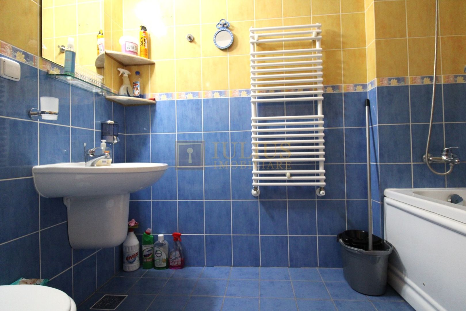 Zona linistita, posibilitate decontare-Sagului - Poză 9