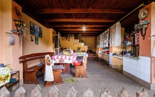 PROPRIETATE VÂNDUTĂ Casă conac cu 15.000 mp deal împădurit la Barațca, - Poză 11