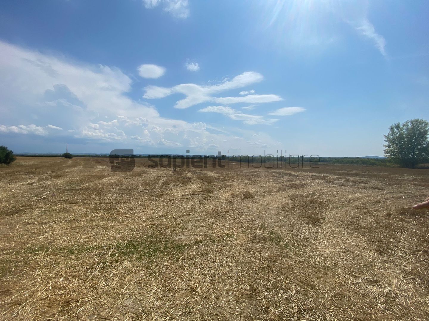Sapient | Teren intravilan  la E60 - Poză 4