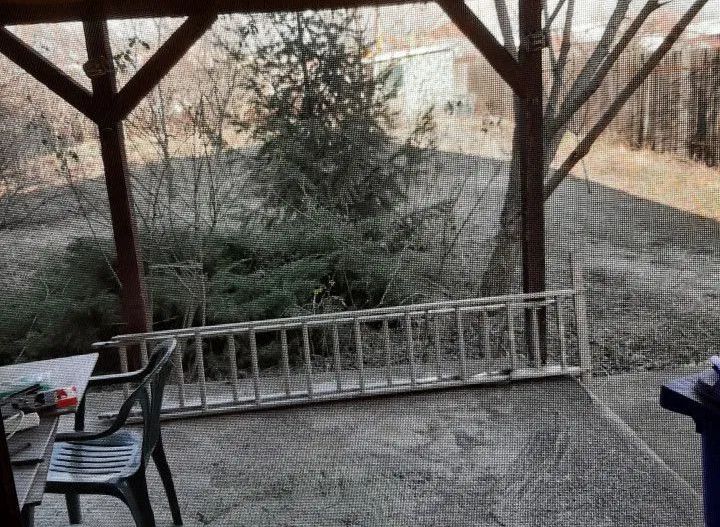 Casa de vanzare individuala Bragadiru Dantelei teren 1000 mp - Poză 6