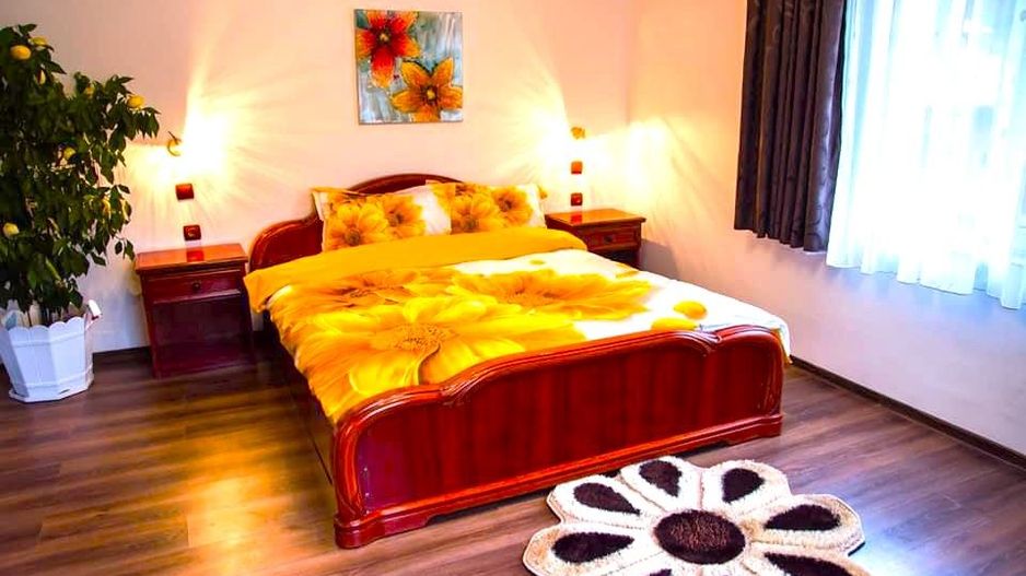 AFACERE DE VANZARE| Pensiunea SILVANKA din Valcele 3* | Langa BRASOV - Poză 16