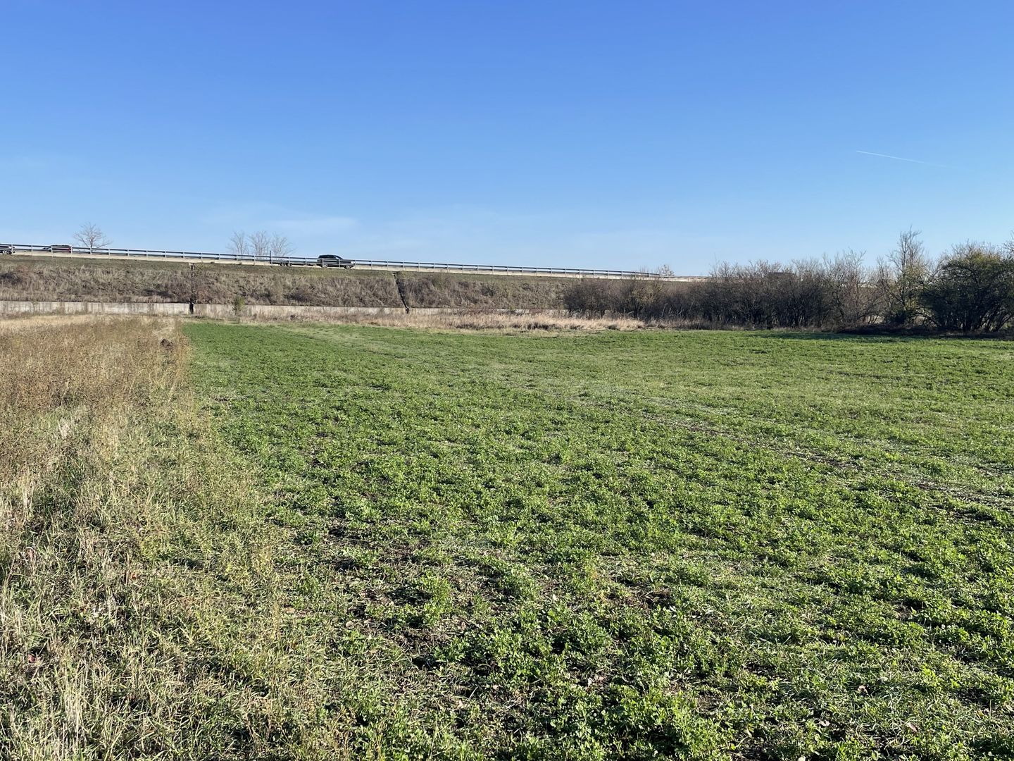 Teren 4316 mp Giarmata Vii-zona mica industrie, depozitare si servicii - Poză 4