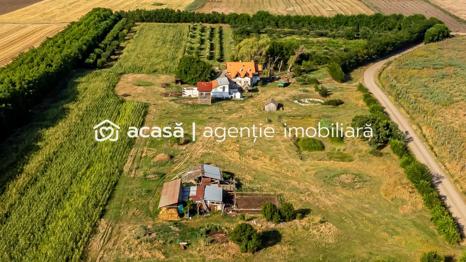 Preț nou! De vânzare teren 7.6 Ha în Pecica - Poză 6