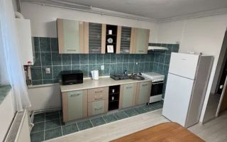 Apartament 2 camere | 40MPU | Pet Friendly | Terezian | Mansarda - Poză 2
