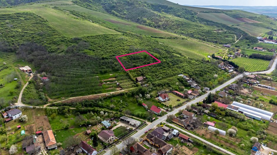 4.300 mp teren pe deal împădurit la Miniș - Poză 4