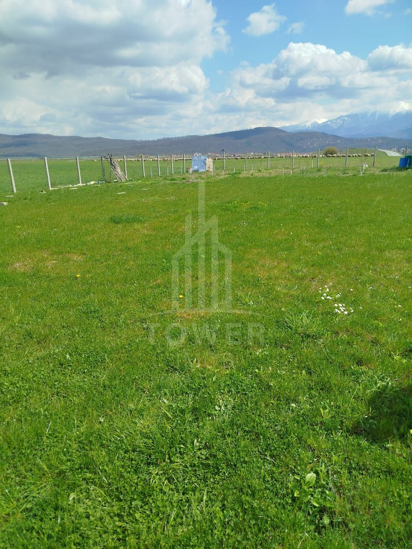 Grădină 862 mp cu cabanuta și pomi fructiferi – între Tălmaciu și Sadu - Poză 3