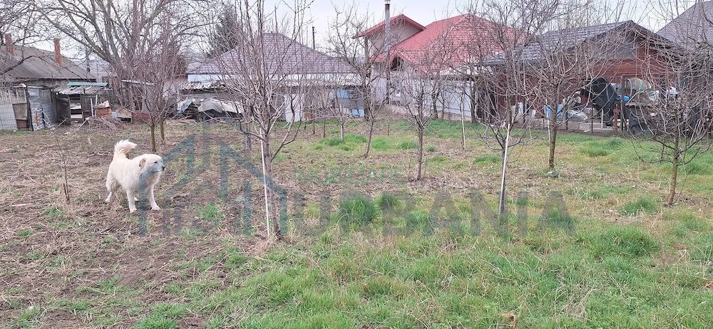 Casă de vânzare - Poză 2