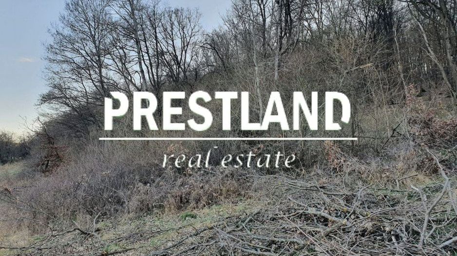 Teren 46.300 mp-zona Gușterița!! - Poză 8