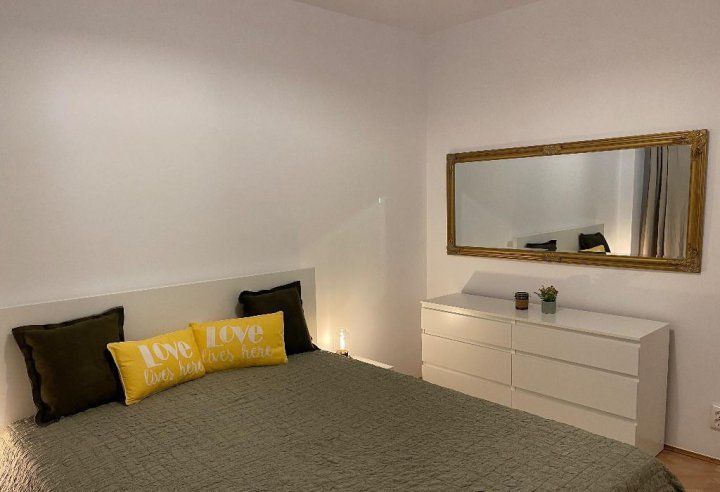 APARTAMENT VICTORIEI - Poză 5