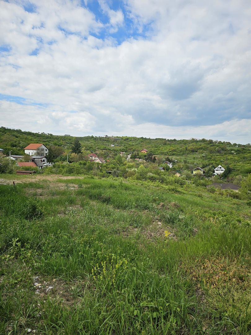 Teren intravilan Podgoria 7000mp - Poză 3