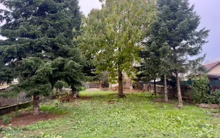Teren Intravilan | Deschidere Lac Snagov | Ponton | Curatat | Toate utilitatile - Poză 12