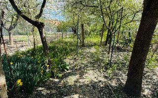 Ciarda Roșie | 2 case în curte | Teren 700 mp | Garaj | Toate utilitățile - Poză 6