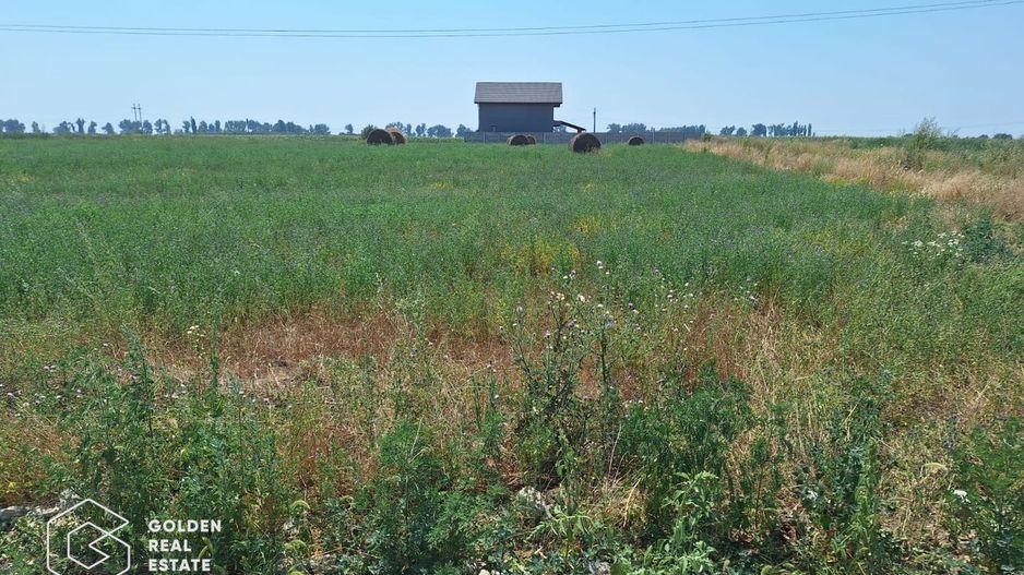 Teren pentru constructie duplex sau casa individuala, 840 mp, Chisoda - Poză 2