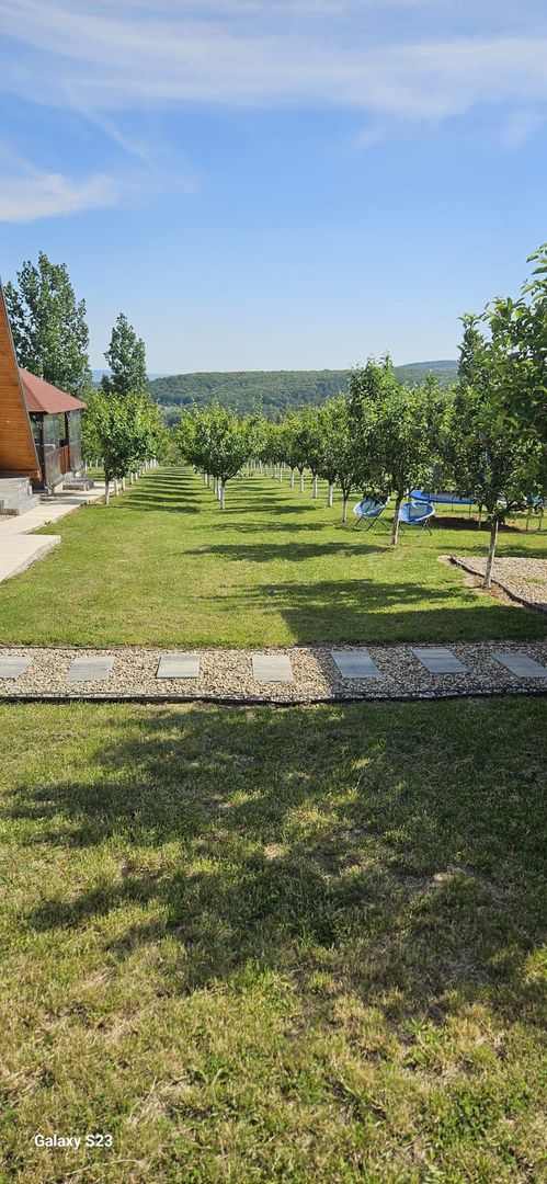 Complex din casa noua si 3 cabane, piscina încalzita 6600 mp teren - Poză 9