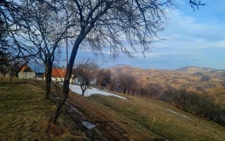 Oaza de liniste si frumusete, reconectare cu natura, 16.000 mp, Poiana Marului - Poză 16