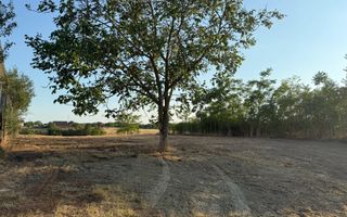 Teren intravilan 2.192 mp cu front 20 m – Seceani, Timiș - Poză 1