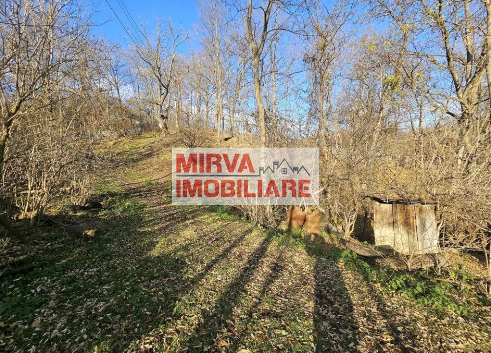 Vanzare casa plus anexa, teren 3843 mp, in Sat Pietriceaua - Poză 6