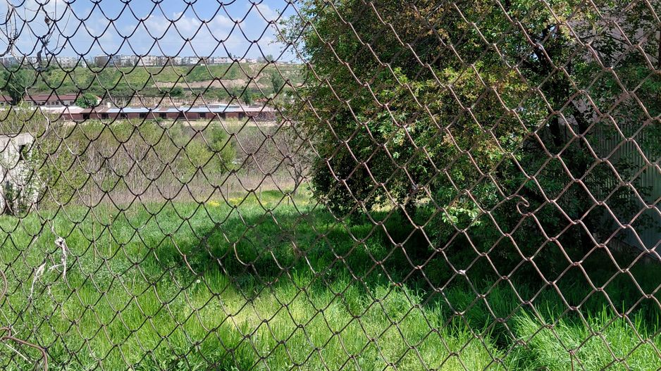 Teren intravilan 3.250 mp în Filești – Ideal pentru casă sau investiție! - Poză 5