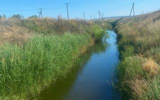 Proprietate cu casă, teren, sere și sistem de irigare – 15 min de Orhei - Poză 6