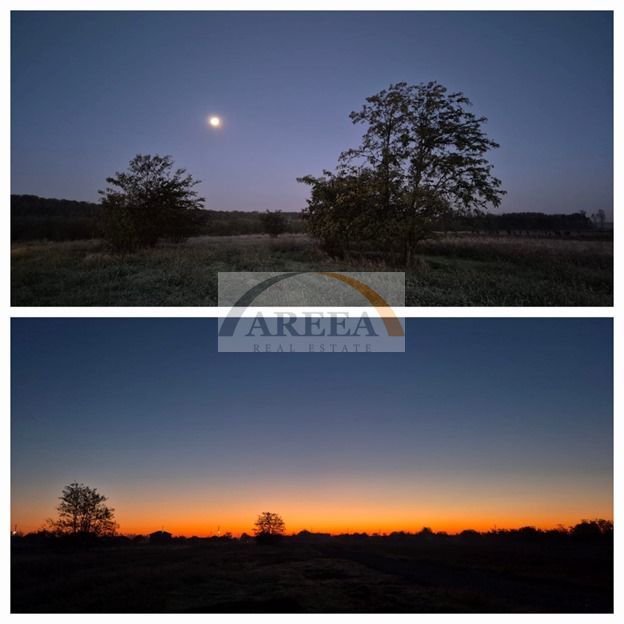 De vanzare - TEREN construcții 700 mp - lizieră - Siliștea Snagovului - Poză 1