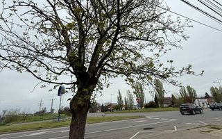 Casa de vanzare Episcopia - Poză 3