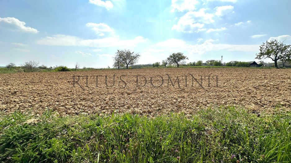 Teren Intravilan de Vânzare, Cetariu, 5450mp - Poză 5