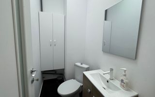 Spatiu la bulevard Nicolina - Rond vechi - Poză 7