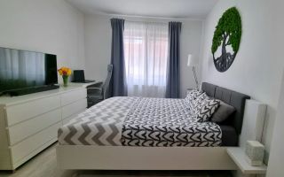 Vânzare, apartament 2 camere, zona Ozana - Poză 3