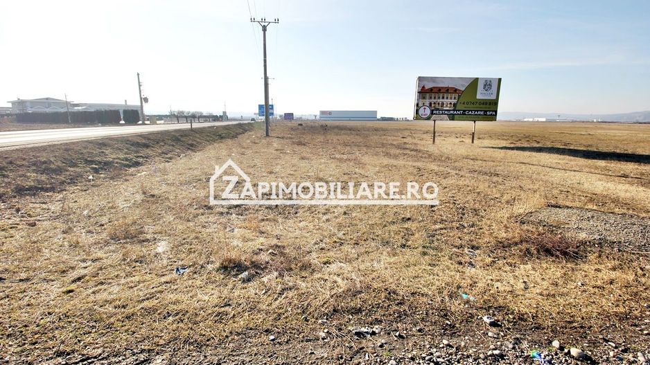 Teren intravilan 20.347 mp in Ungheni - Poză 4