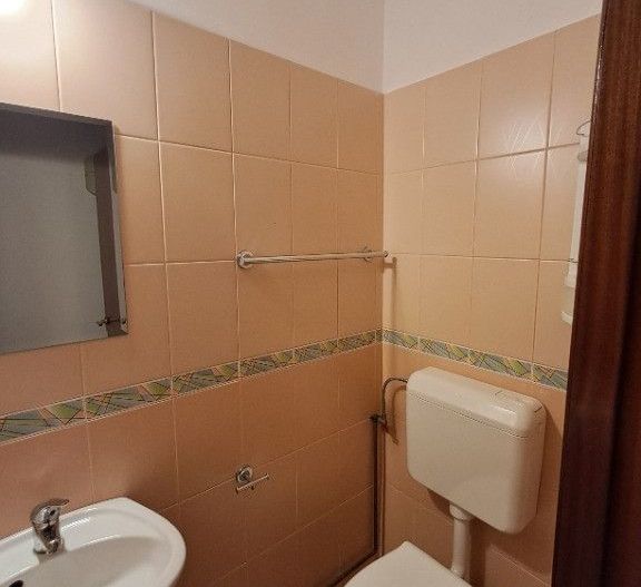 Apartament Eroii Revoluției/Parc Tineretului - Poză 7