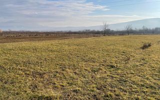 Teren 2754 mp-pretabil agricultura-Livezile - Poză 2