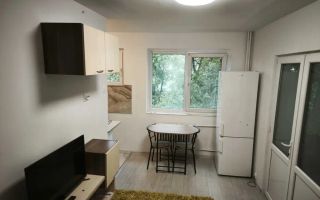 Apartament cu 2 camere/ 30mp/ zona Podu Ros - Poză 3
