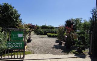 Teren intravilan de vanzare Biharia-Bihor - Poză 2