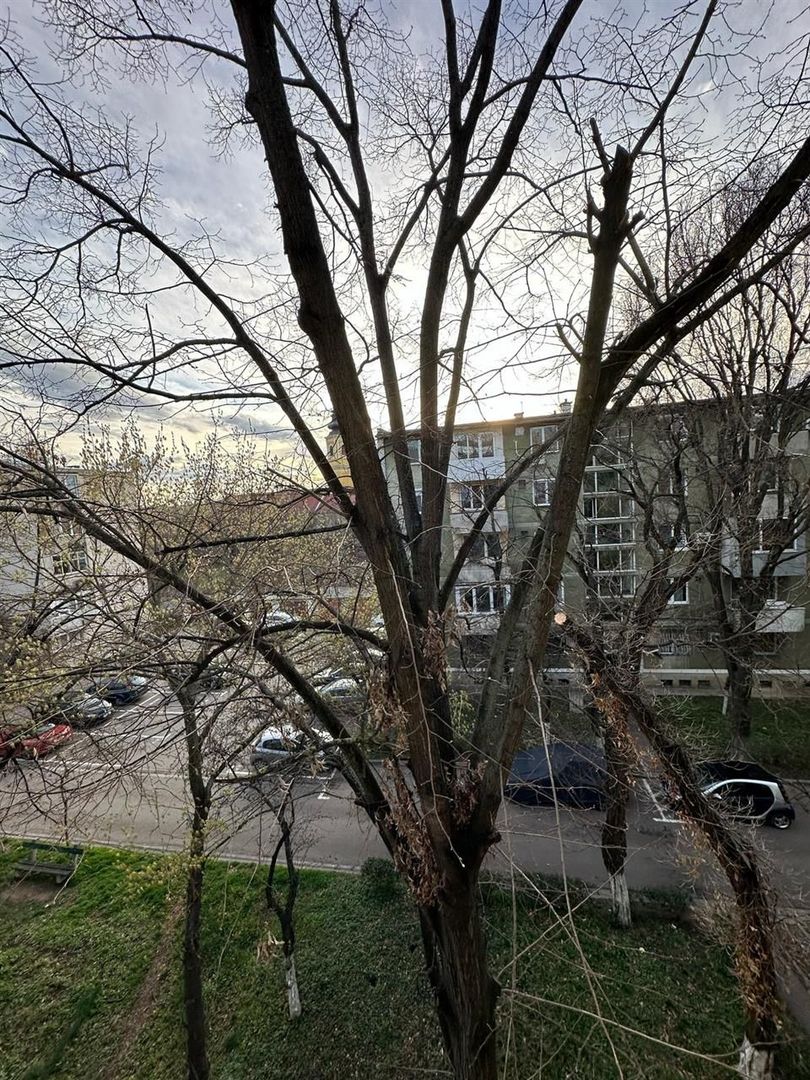 Apartament 2 camere Rogerius - Poză 6