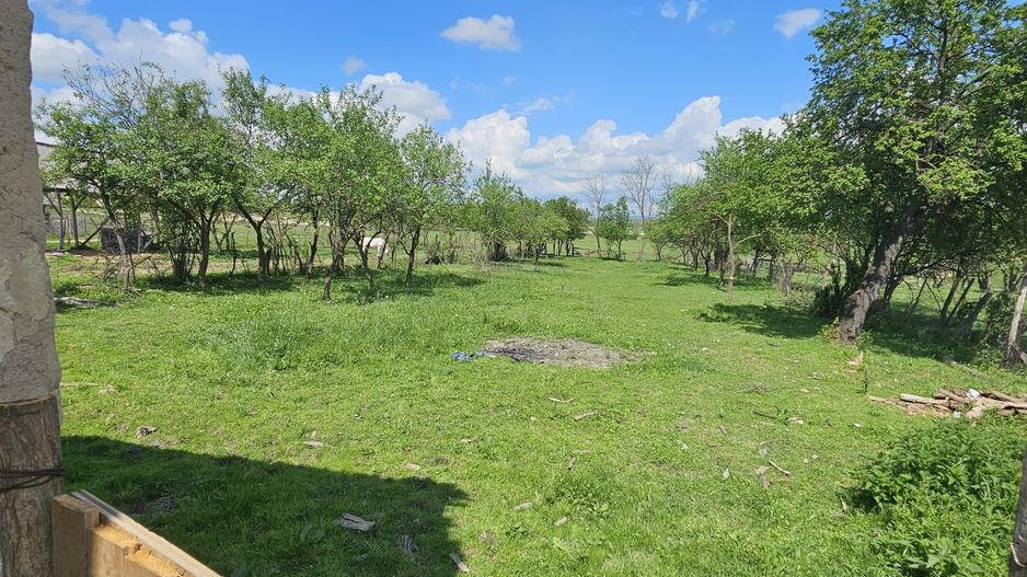 Casa la tara in Rogoz, Bihor, teren 1427 mp, acces auto - Vanzare - Poză 6