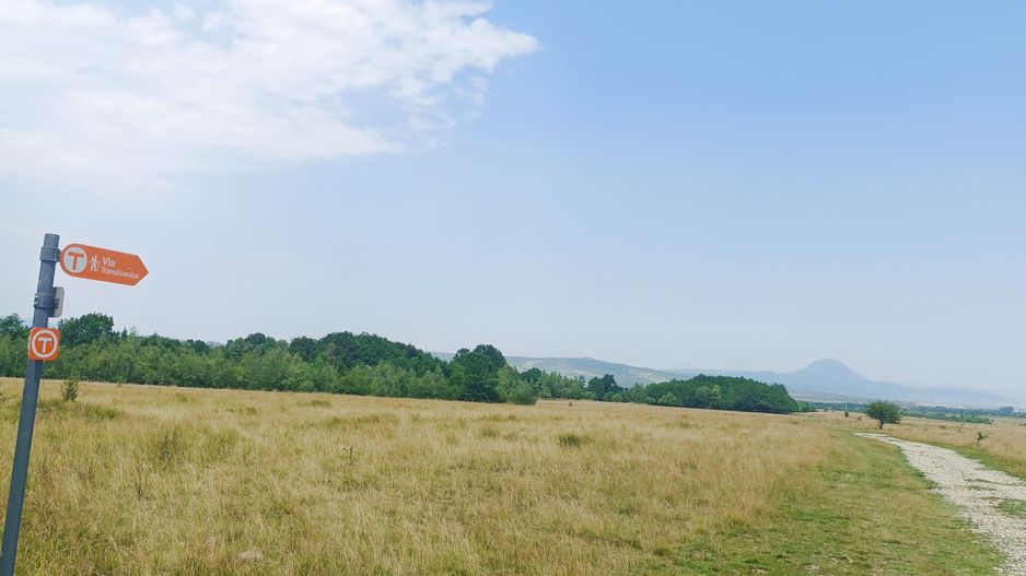 Teren in Rasnov,Glejerie-Via Transilvanica - Poză 11