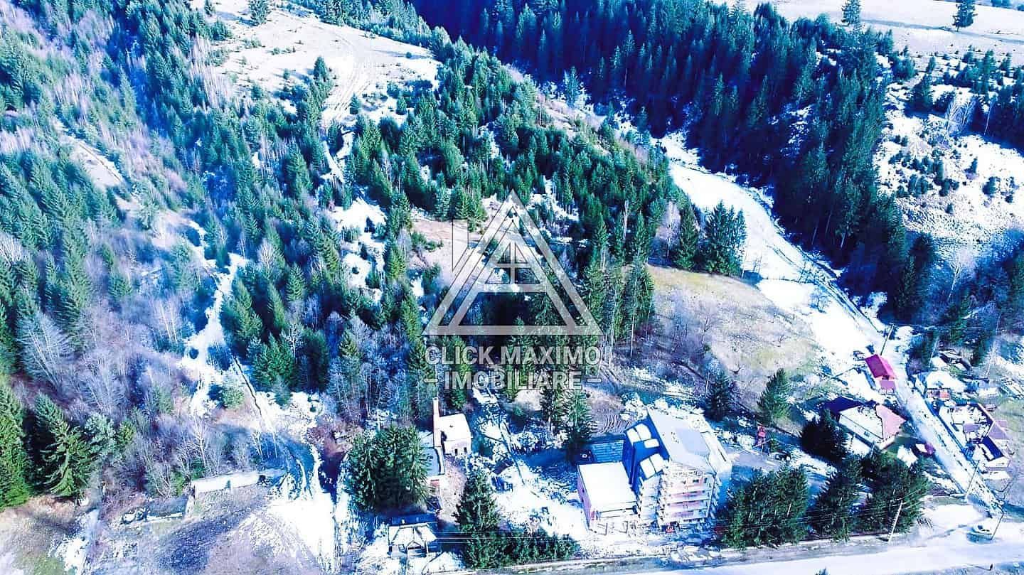 Teren 8 ha cu 15 izvoare minerale, lângă Câmpulung Argeș - Poză 4