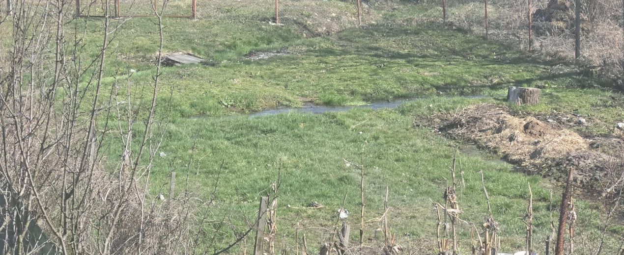 Proprietate de excepție în Lelești – la doar 8 km de Târgu Jiu - Poză 36