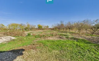 Proprietate impresionantă în Nădab - Poză 30