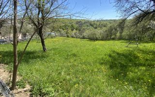 TEREN INTRAVILAN 3265 MP, VALEA MARE PRAVAT, ARGES - Poză 1