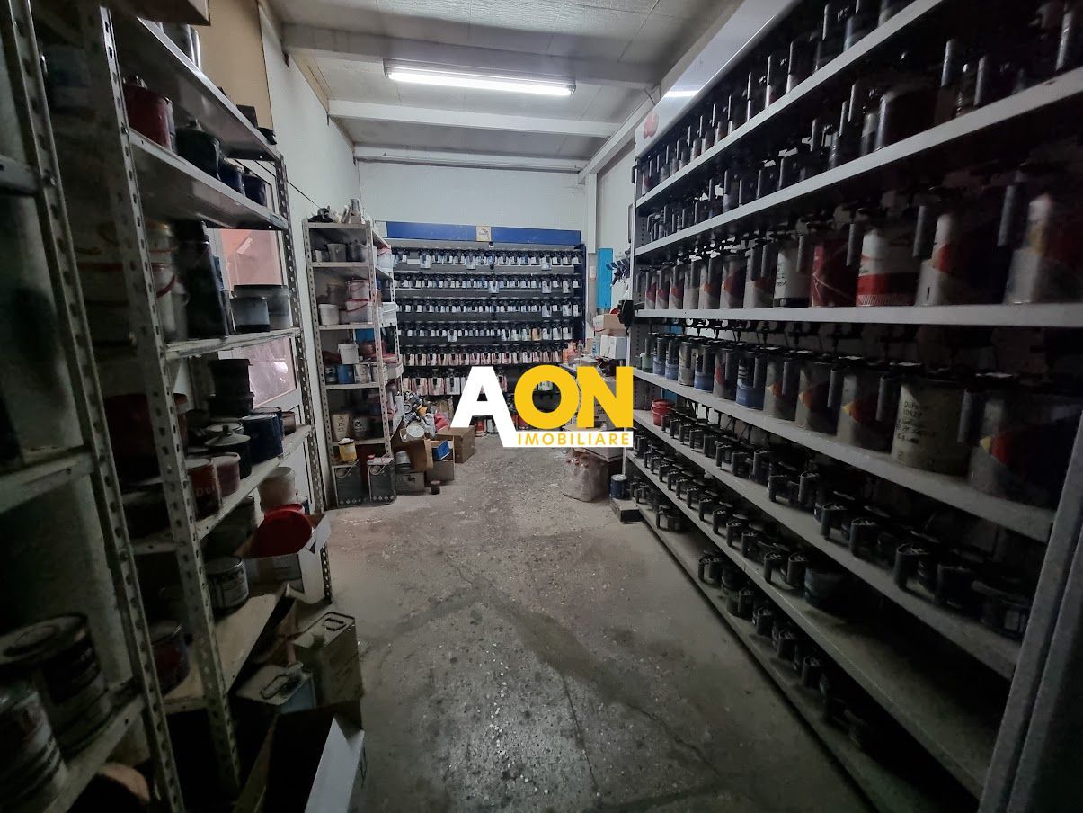 Hala Alba Iulia, 1500mp Utili - Poză 14