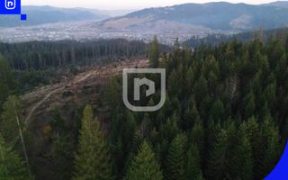 Teren situat in Frasin | BUCOVINA - Poză 8