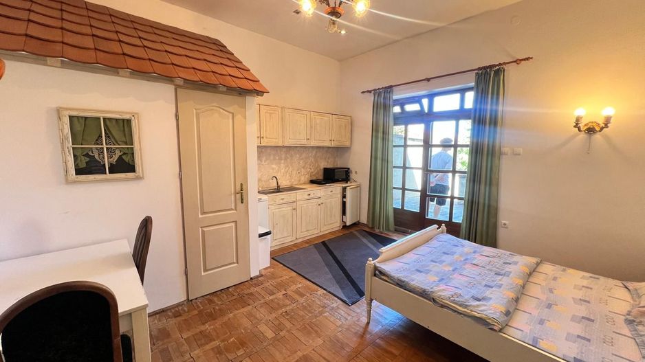 Garsoniera cu terasa proprie in vila interbelica | 20 mp + 16 mp terasa | Centru - Poză 3
