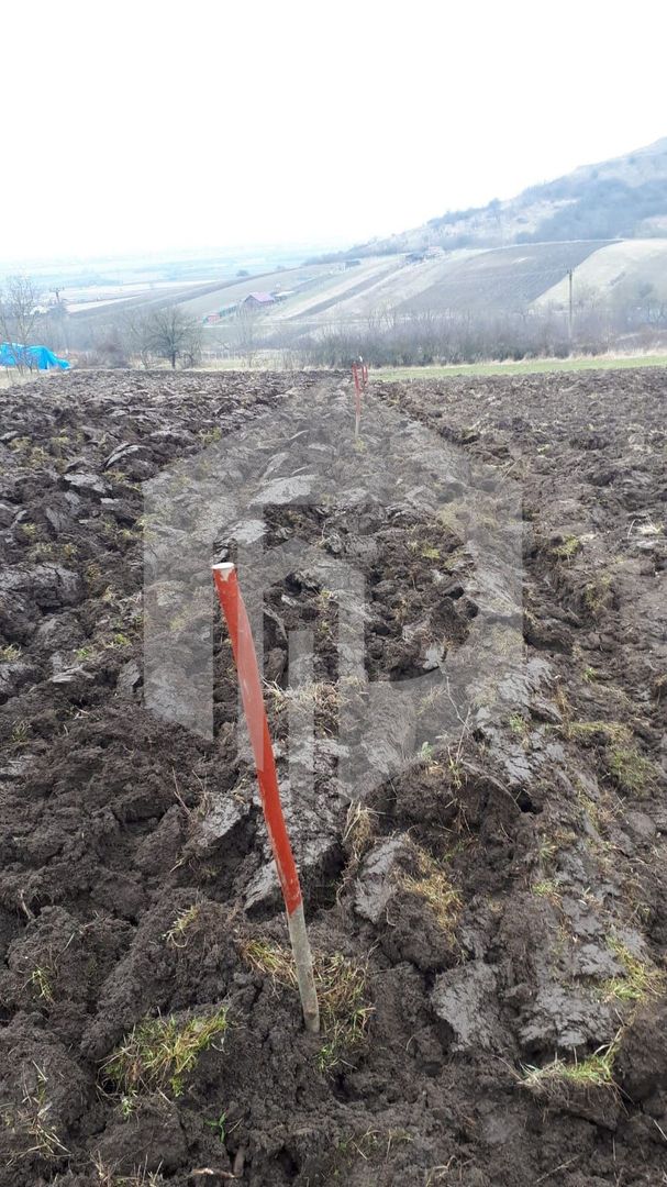 Teren de Vanzare - Gusterita - 5100mp - Intravilan - 0% Comision - Poză 6