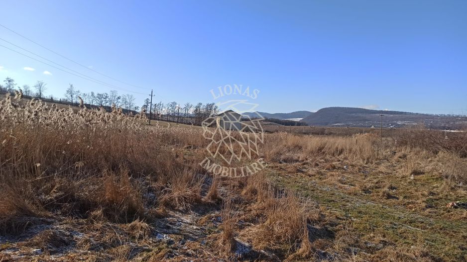 Teren intravilan 6900 mp-ideal investitie/case-Zona Zavoaie EXCLUSIV - Poză 1