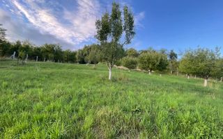 EXCLUSIVITATE! TEREN INTRAVILAN 29.2 ARI + 5.8 ARI TEREN EXTRAVILAN, DE VANZARE - Poză 8